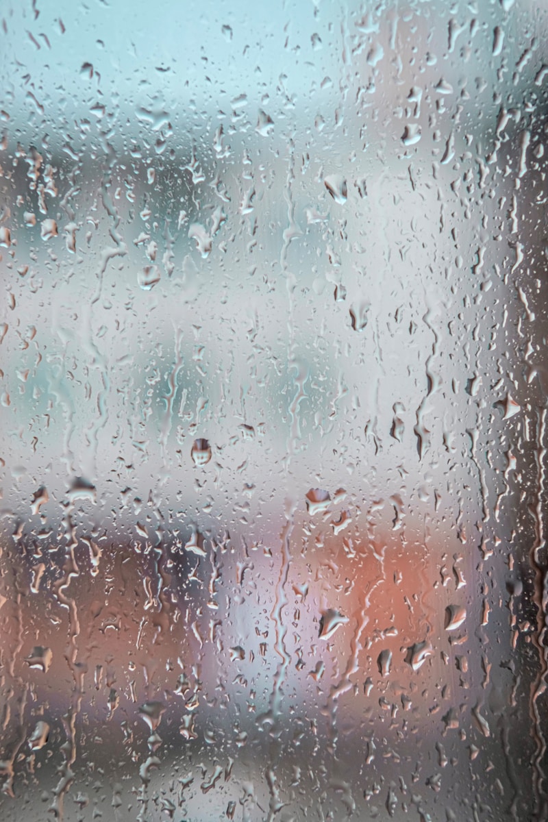raindrops on a window