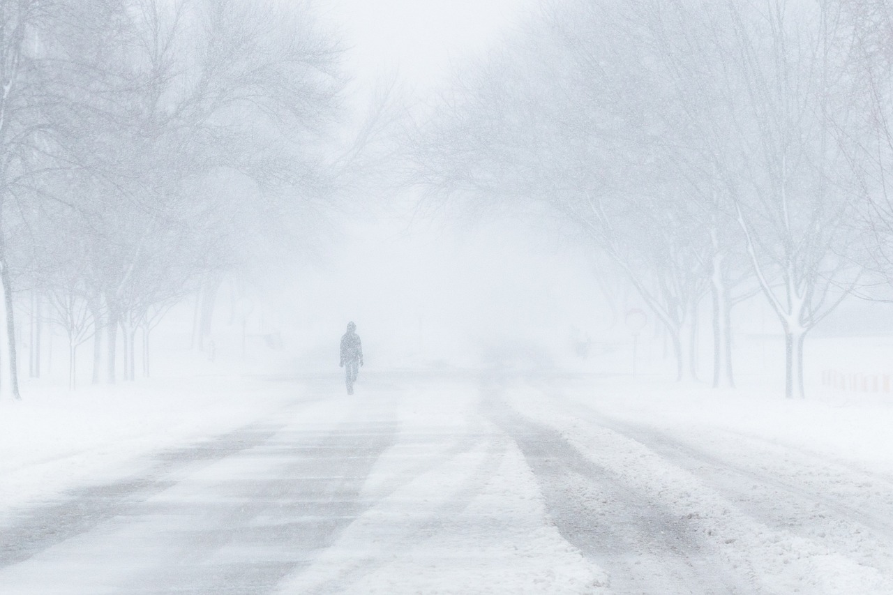 blizzard, snow, winter, nature, walk, cold, weather, blizzard, blizzard, blizzard, blizzard, blizzard