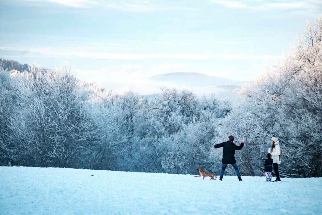 dog, man, child, and woman on snow field near trees during day
