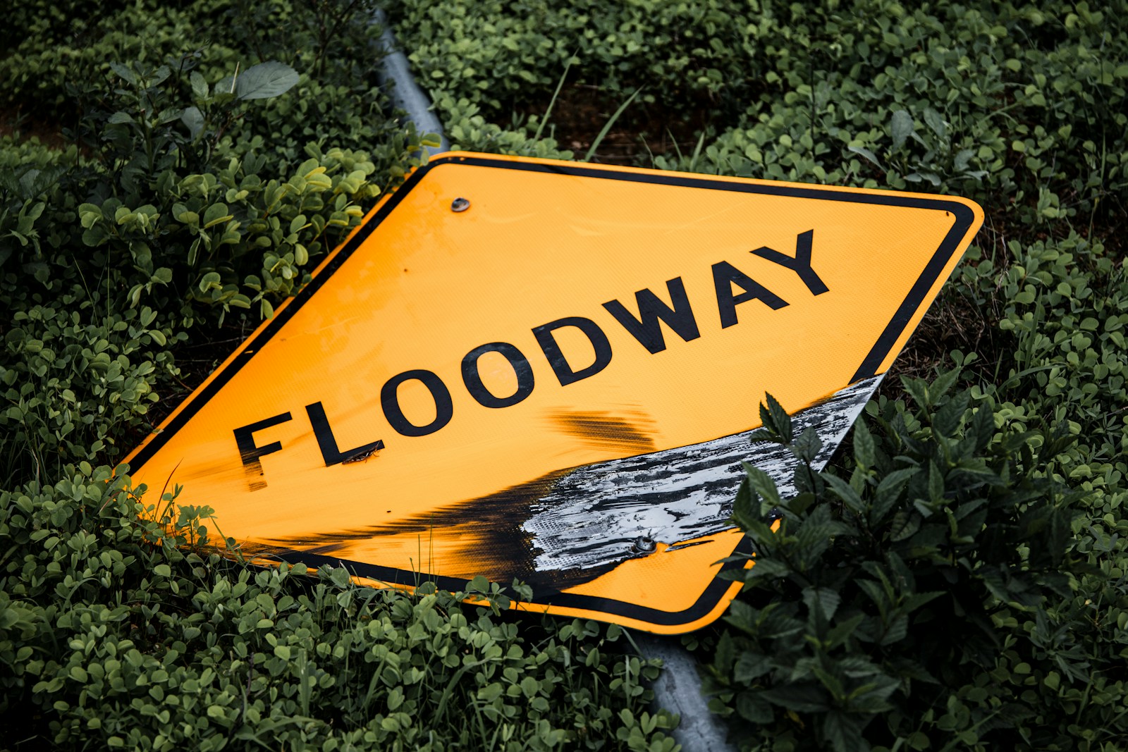 a yellow sign on a road