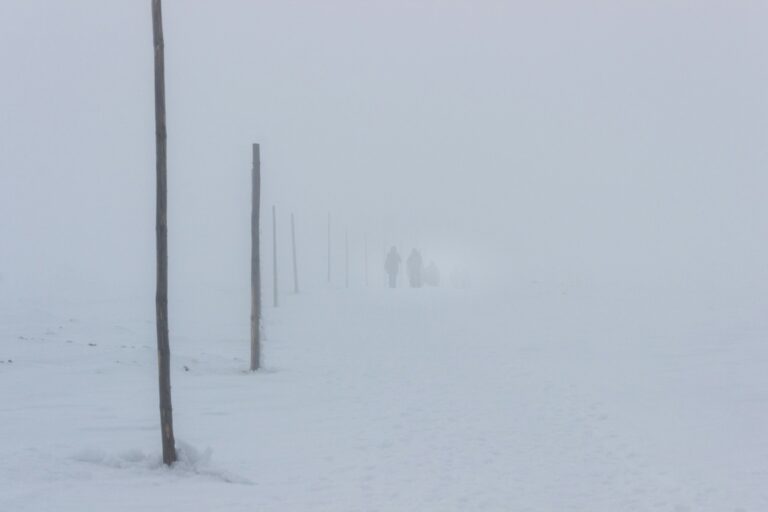 a group of people walking down a snow covered road