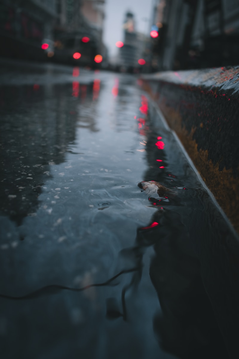 brown and white duck on water