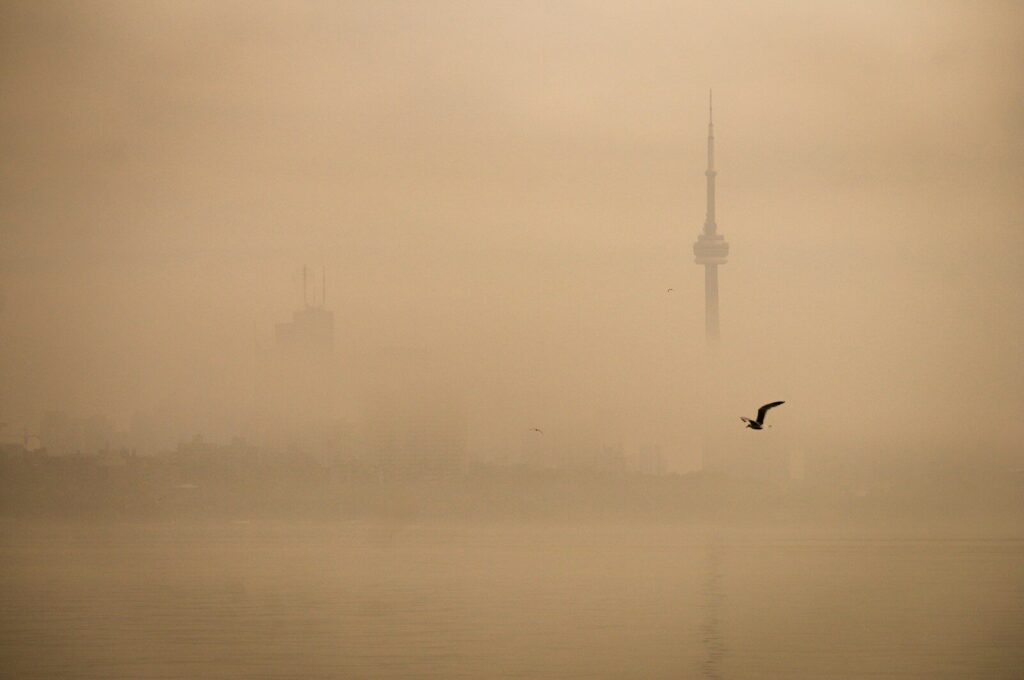 A lone bird flies through a foggy cityscape at dawn.