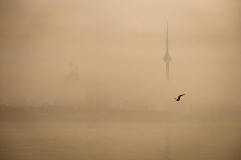 A lone bird flies through a foggy cityscape at dawn.